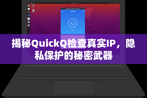 揭秘QuickQ检查真实IP，隐私保护的秘密武器