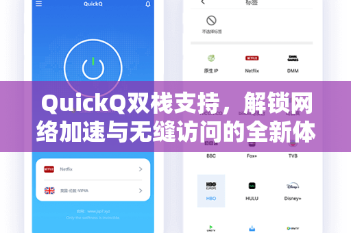 QuickQ双栈支持，解锁网络加速与无缝访问的全新体验
