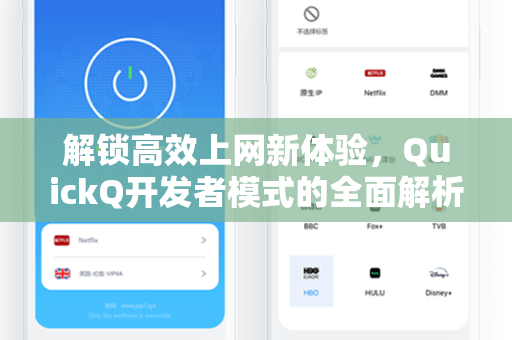 解锁高效上网新体验，QuickQ开发者模式的全面解析